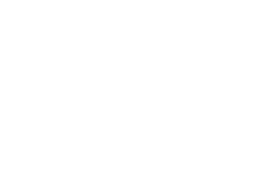 BcV Lean Consulting | Behaviors creating value